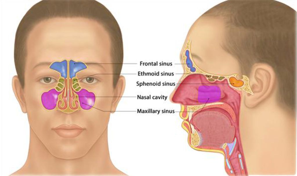 Chronic Rhinosinusitis Nasal Polyps Melbourne Ent Group