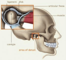 Temporomandibular Joint (TMJ) Exercises - Melbourne ENT Group